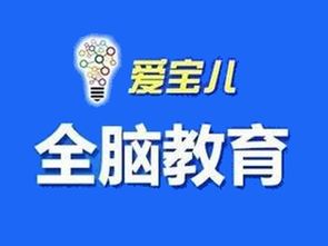 爱宝儿全脑教育加盟费用详解 总投资16.7万元构成与投资建议